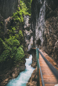 Scenic view of river amidst trees