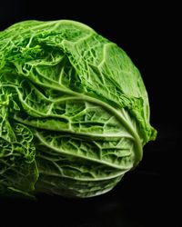 Close-up of green leaf against black background