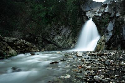 Scenic view of waterfall in forest