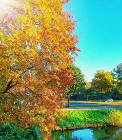 Scenic view of autumnal trees by lake against sky