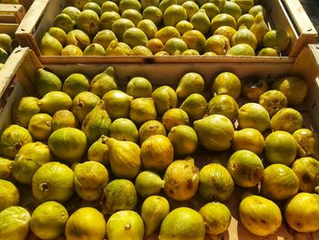 Fruits for sale at market stall