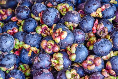 Full frame shot of blueberries