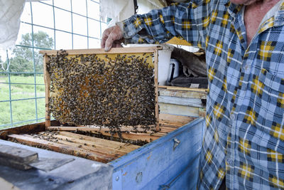 View of beehive