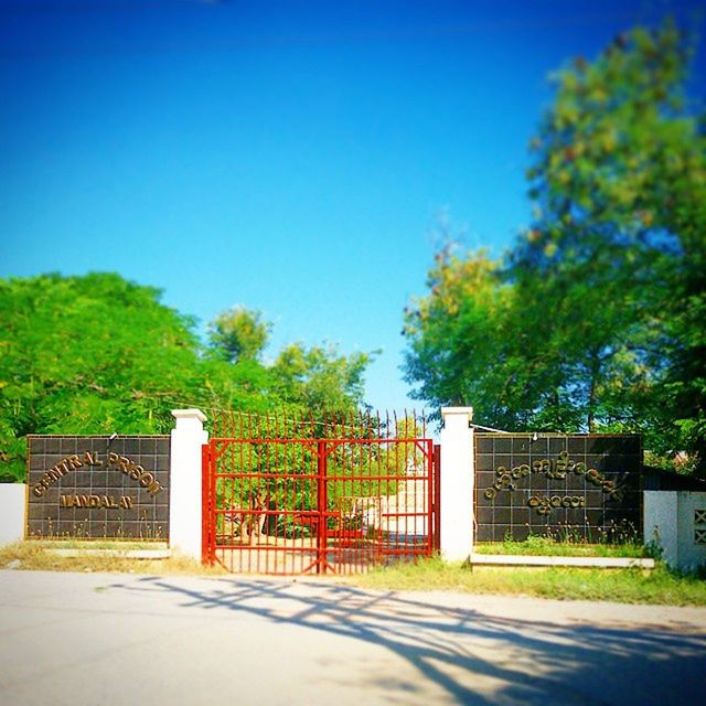 clear sky, tree, blue, built structure, architecture, copy space, building exterior, sunlight, shadow, road, day, railing, outdoors, footpath, no people, street, growth, sunny, empty, walkway