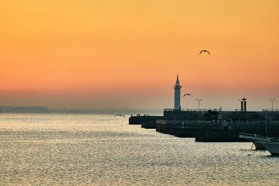 Bird flying over sea against orange sky