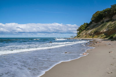 The sandy shore of the sea. pine forest on the seashore. waves on the baltic sea.