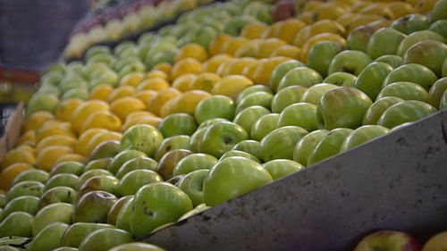 Plenty of fruits for sale at hacarmel market in tel aviv