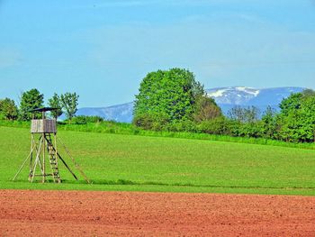 Scenic view of field against clear sky