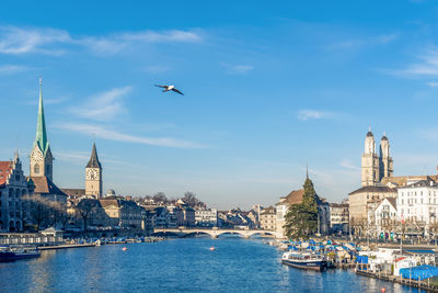 Birds flying over river in city against sky