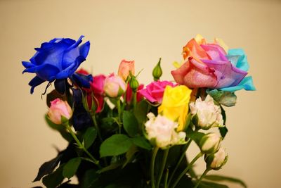 Close-up of flowers