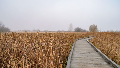 Boardwalk on field of coastal sand plant against white sky on foggy autumn morning