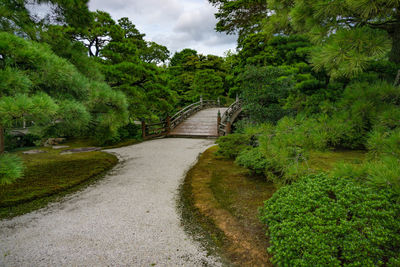 Footpath amidst trees against sky