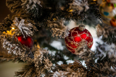 Close-up of christmas tree