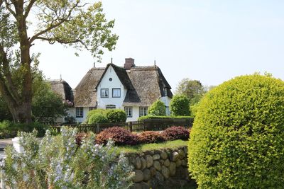 Plants and trees growing in garden