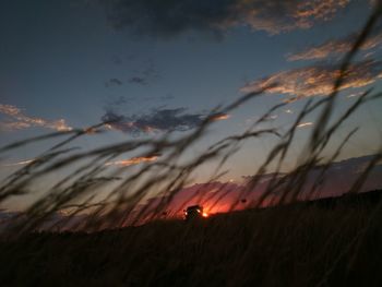 View of sky at sunset