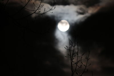 Low angle view of bare trees against clear sky