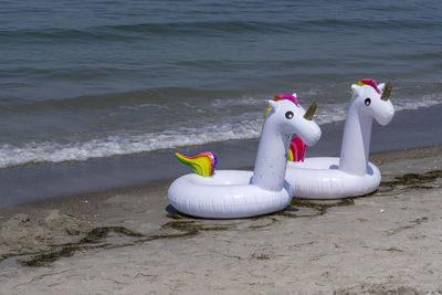 View of birds on beach