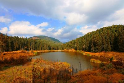 Scenic view of lake and trees against sky