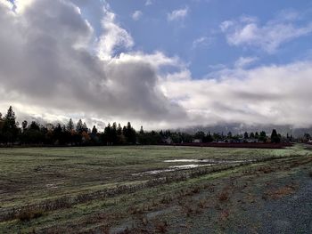 Scenic view of field against sky