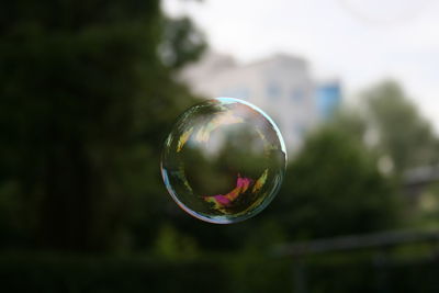 Close-up of bubbles in mid-air