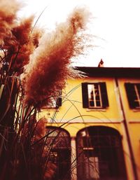 Low angle view of yellow house against sky