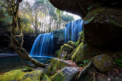 Scenic view of waterfall in forest