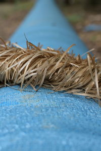 Close-up of rope on blue table