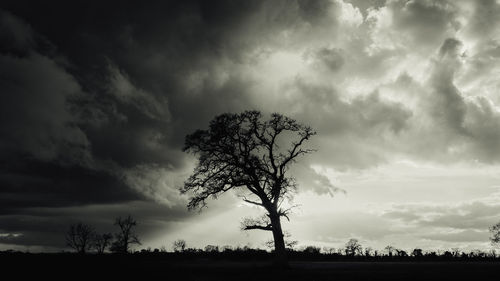 Low angle view of silhouette tree against storm clouds