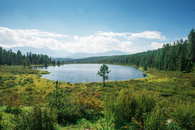 Scenic view of lake against sky