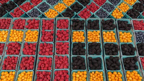 Multi colored fruits for sale in market