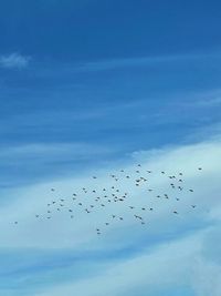 Blue sky with birds 