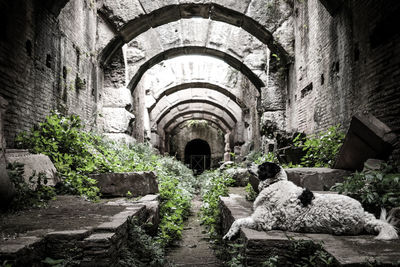 View of tunnel