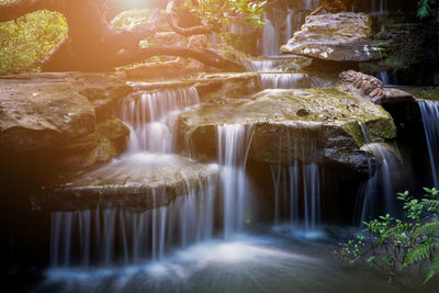 View of waterfall in forest