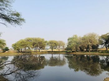 Reflection of trees in lake against sky