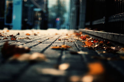 Surface level of dry leaves on sidewalk during autumn