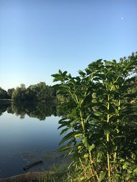 Scenic view of lake against clear blue sky