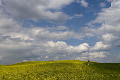 Scenic view of field against sky