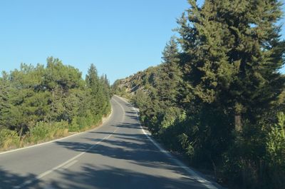 Empty country road along trees