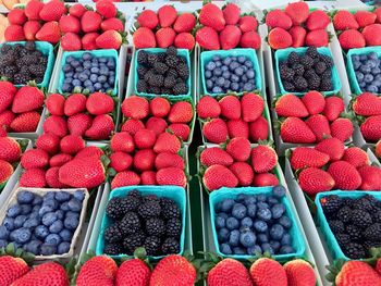 High angle view of fruits for sale at market stall