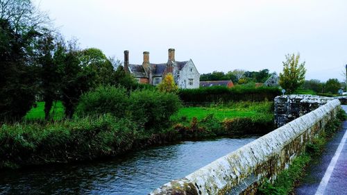 Plants growing by canal against sky