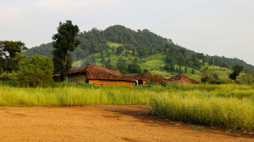 House on field by trees against sky