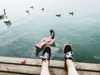 Low section of man swimming on lake