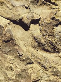 Full frame shot of ground