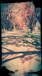 auto post production filter