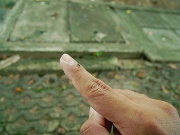 Cropped finger with insect 