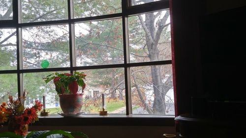 Flower vase on window sill