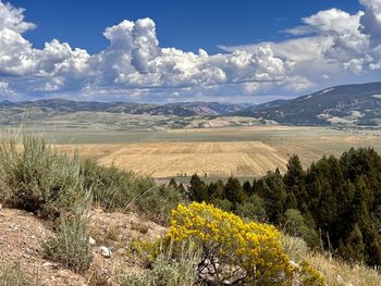 Scenic view of field against sky