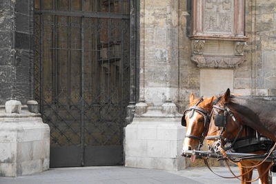 Horse cart in a building