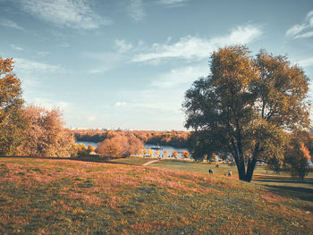 Trees on field against sky during autumn