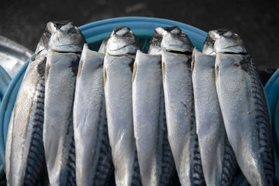 Close-up of fish for sale in market